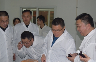 推動映山紅計劃支持海爾思IPO上市，聶副市長蒞臨海爾思藥業(yè)現(xiàn)場督導(dǎo)解決問題